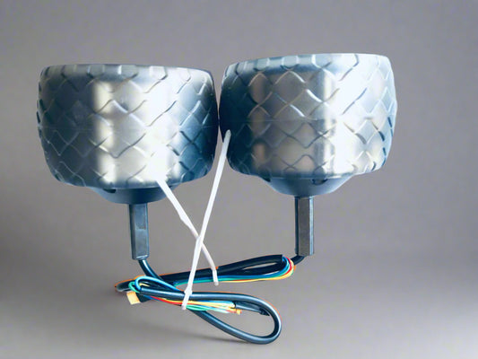 Dome Hub Motors - 800W each